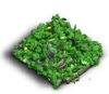 Lv1