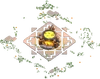 Lv5