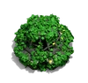 廃墟